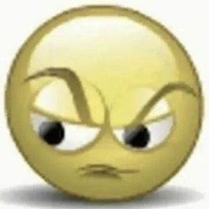 Meet your Posher, Bee